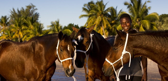 Escapade à cheval au Mozambique, entre mer, lagons et dunes de sable - Caval&go