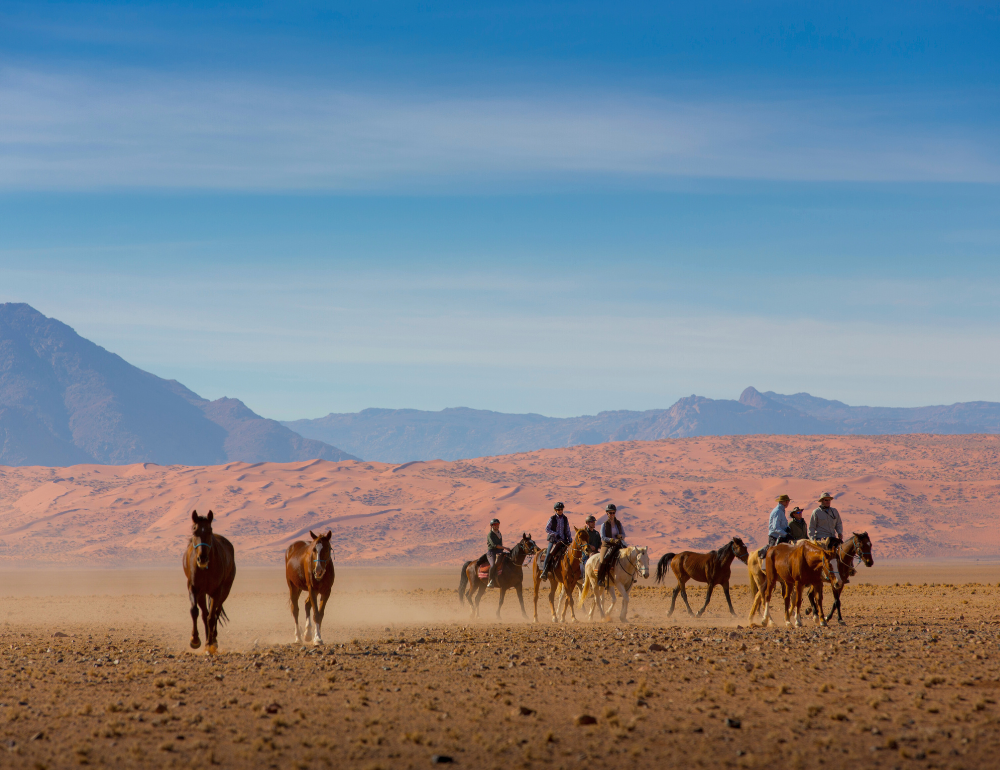 Randonnée équestre au cœur du désert Skeleton Coast en Namibie