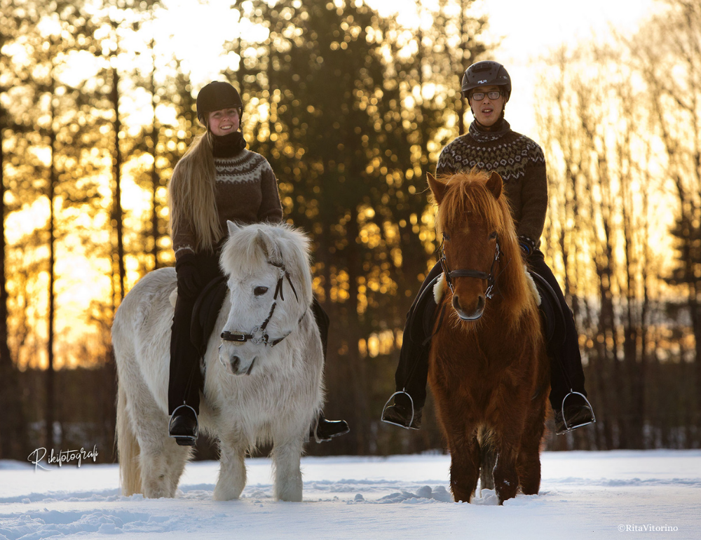 Séjour multiactivités dans la neige, randonnées à cheval et à pied, raquettes et chiens de traîneau en Laponie suédoise