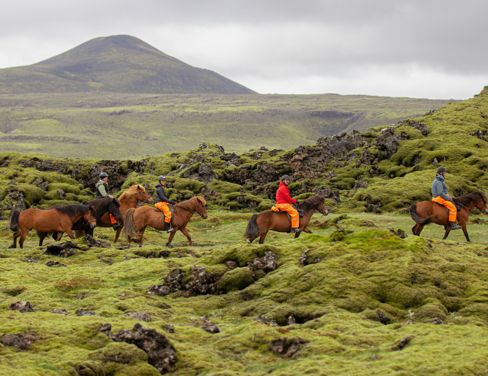 Randonnée équestre autour du volcan de Hengill en Islande