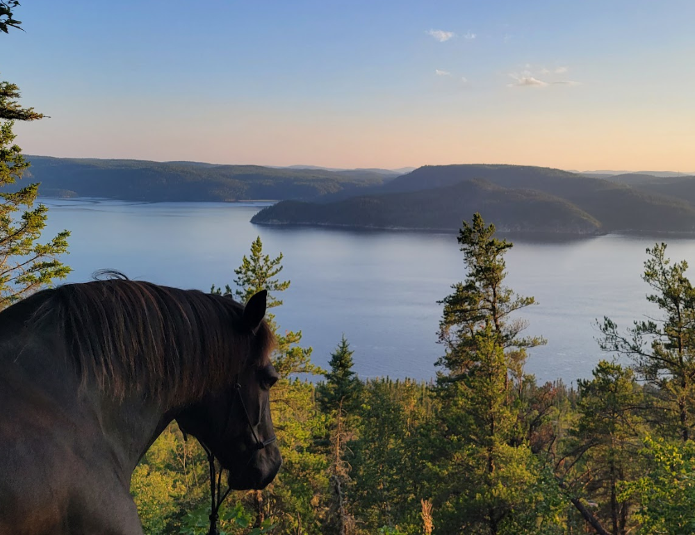 Séjour équestre au Québec, au pays des chevaux et des baleines