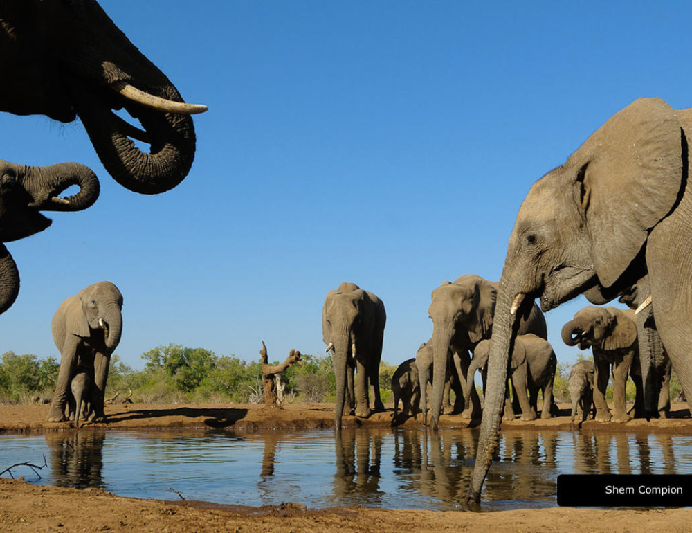 Safari à cheval au Botswana sur les terres des Géants