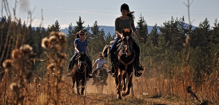 Caval&go - Randonnée à cheval dans les montagnes de Bulgarie