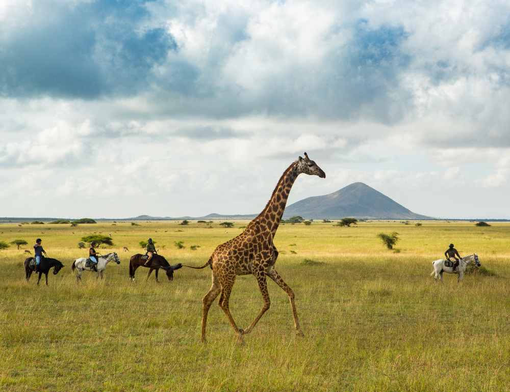 Safari équestre et multi activités en lodge de luxe au Kenya