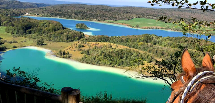 Escapade équestre à la découverte des lacs et cascades du Jura - Caval&go