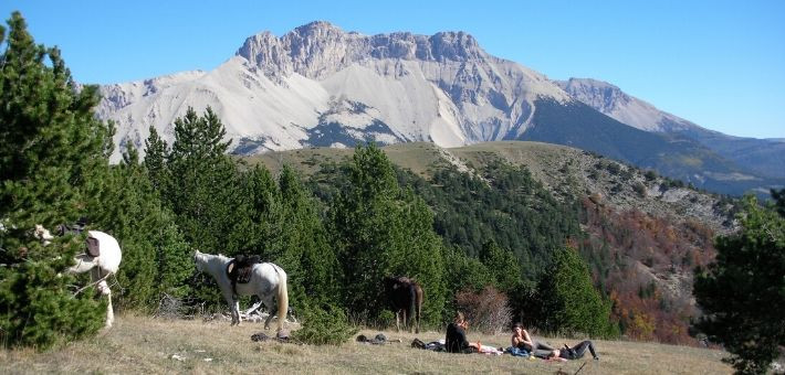 Randonnée équestre dans les Alpes, aux portes du Dévoluy - Caval&go