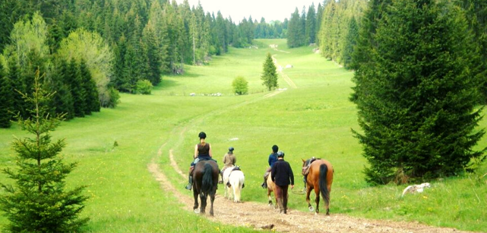 Escapade équestre à la découverte des lacs et cascades du Jura - Caval&go