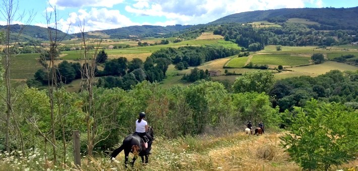 Randonnée à cheval aux pays Beaujolais et Mâconnais - Caval&go