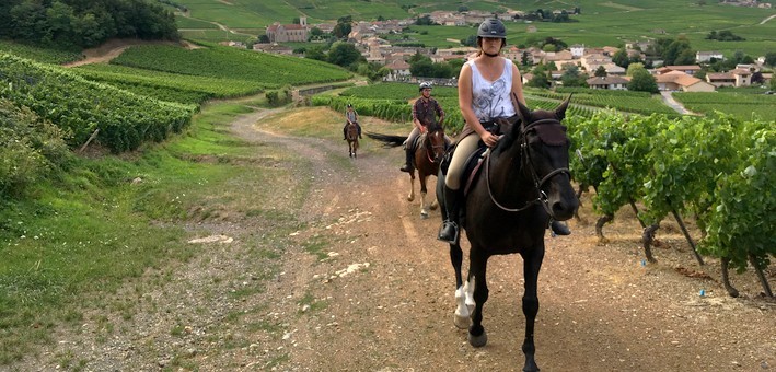 Randonnée à cheval aux pays Beaujolais et Mâconnais - Caval&go