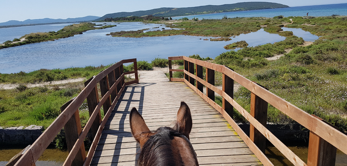 Randonnée équestre sur les îles sauvages de Sardaigne - Caval&go