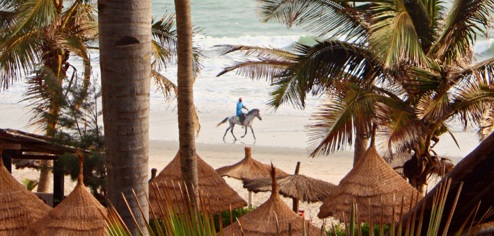 Randonnée à cheval itinérante au Sénégal dans la région du Sine Saloum - Caval&go