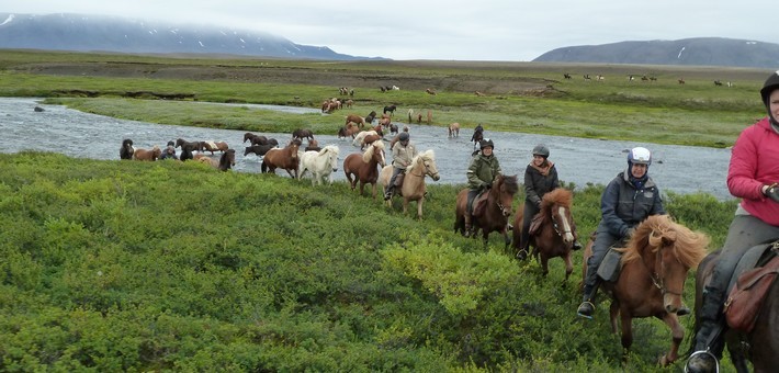 Randonnée équestre en Islande - Caval&go