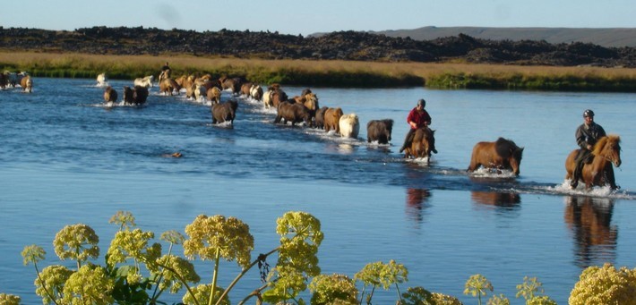 Randonnée équestre en Islande - Caval&go