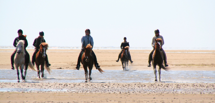 Randonnée équestre à la découverte des îles de la mer de Wadden au Danemark - Caval&go