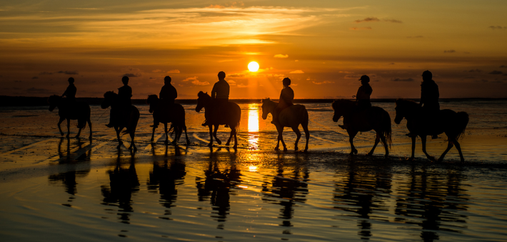 Randonnée équestre à la découverte des îles de la mer de Wadden au Danemark - Caval&go