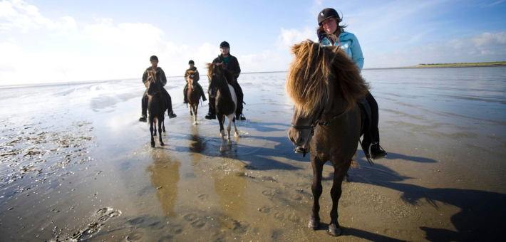 Randonnée équestre à la découverte des îles de la mer de Wadden au Danemark - Caval&go