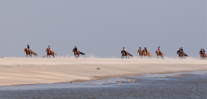 Randonnée équestre à la découverte des îles de la mer de Wadden au Danemark - Caval&go