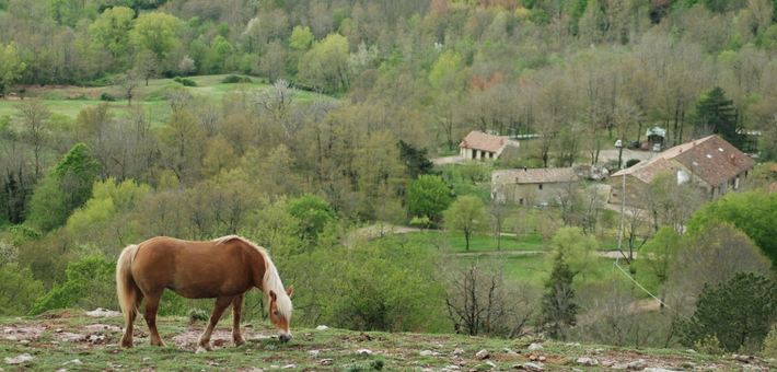 Séjour bien-être en Toscane entre cheval et yoga - Caval&go