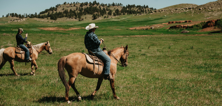 Ranch de travail et équitation western au Wyoming - Caval&go
