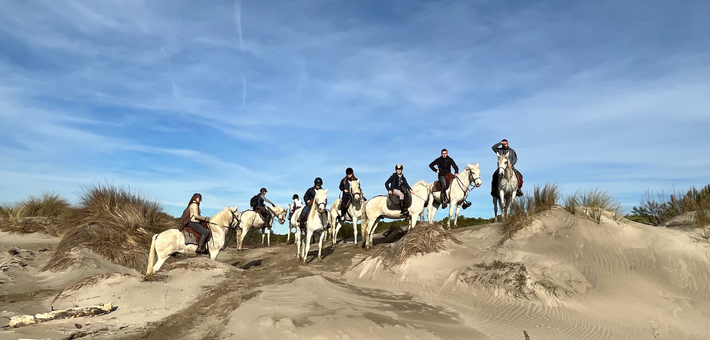 Séjour immersif en Camargue entre tri de bétail et traditions - Caval&go