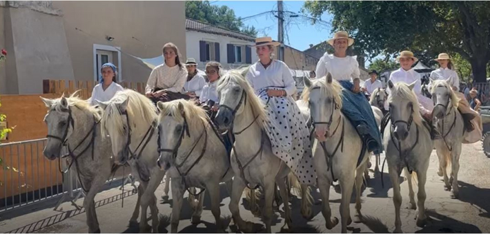 Séjour immersif en Camargue entre tri de bétail et traditions - Caval&go