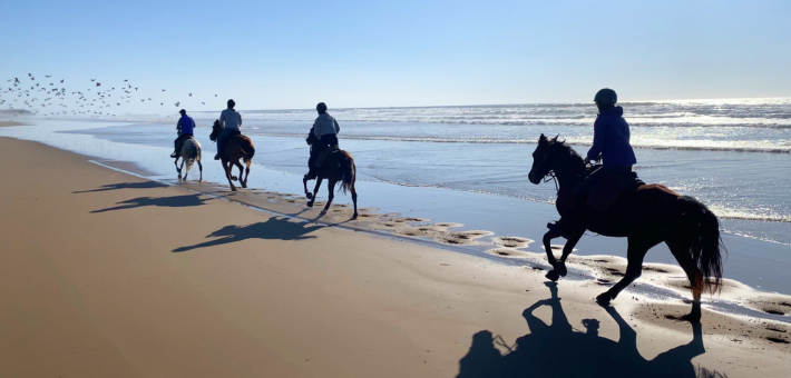 Séjour bien-être, multi-activités et relation au Cheval sur la côte marocaine - Caval&go