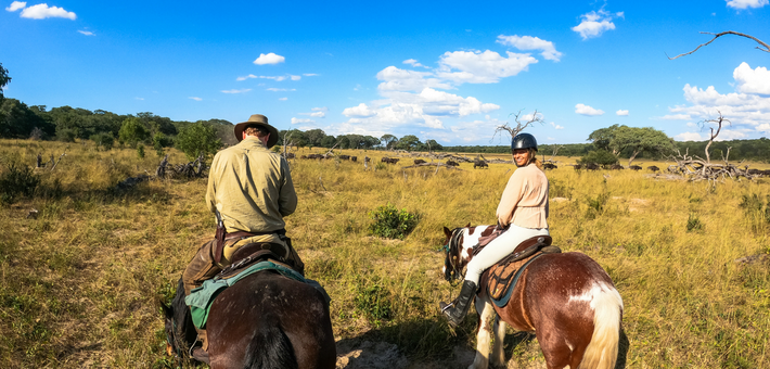 Safari exploration du Hwange National Park au Zimbabwe - Caval&go