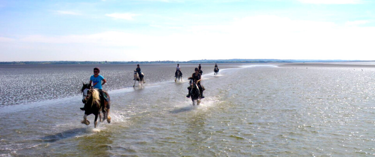 Séjour équestre au Mont-St-Michel pour les jeunes de 11/13 ans - 14/17 ans - Caval&go