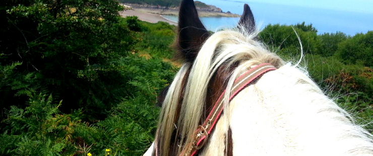 Randonnée à cheval au Mont-Saint-Michel - Adultes - Caval&go 