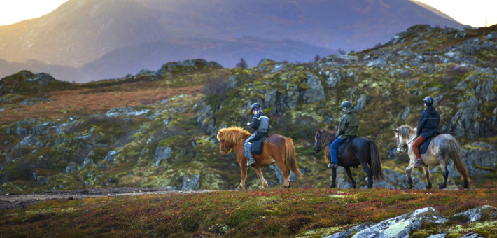 Escapade à cheval dans les îles Lofoten - Caval&go