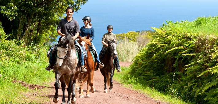 Randonnée à cheval itinérante sur l