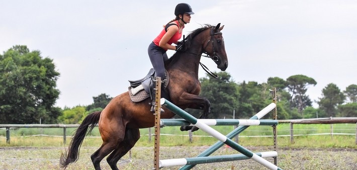 Stage de perfectionnement équestre sur les plages des Landes - Caval&go