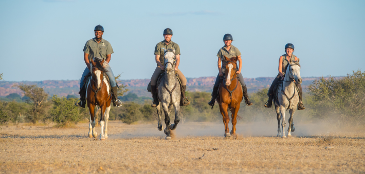 Safari à cheval au Botswana, immersion en terre sauvage d