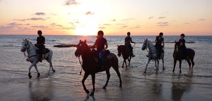 Explorer la Galilée à cheval - Caval&go