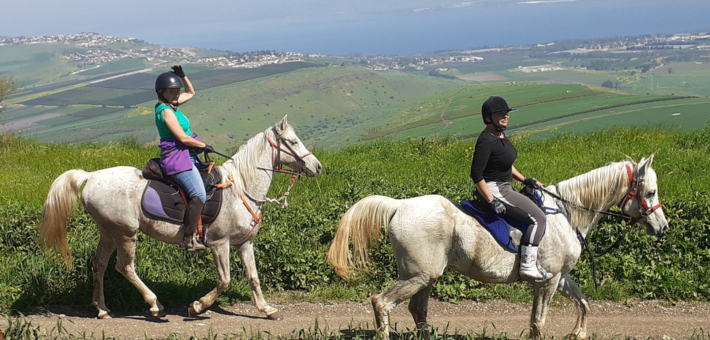 Explorer la Galilée à cheval - Caval&go