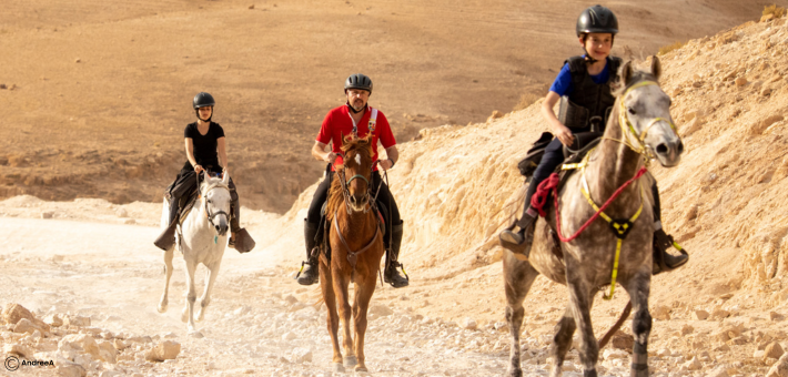 Randonnée à cheval le Tour d