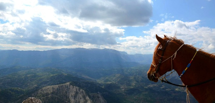 Randonnée à cheval dans les montagnes du sud de l