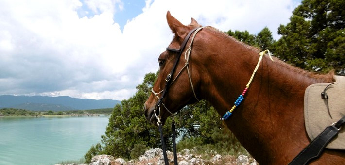 Randonnée à cheval dans les montagnes du sud de l