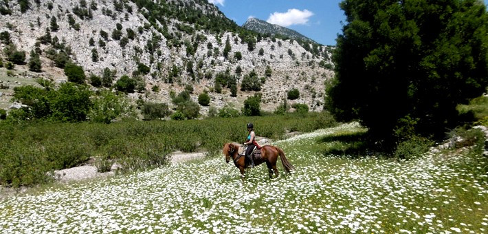 Randonnée à cheval dans les montagnes du sud de l