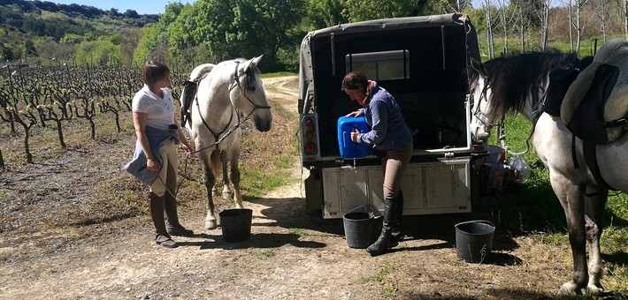 A cheval vers la côte Atlantique au Portugal - Caval&go