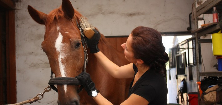 Séjour linguistique à cheval pour ados (12-18 ans) sur la Côte Atlantique - Caval&go