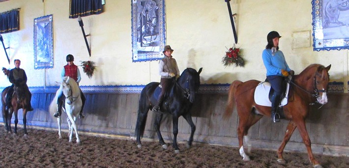 Equitation de dressage Haute Ecole au Portugal