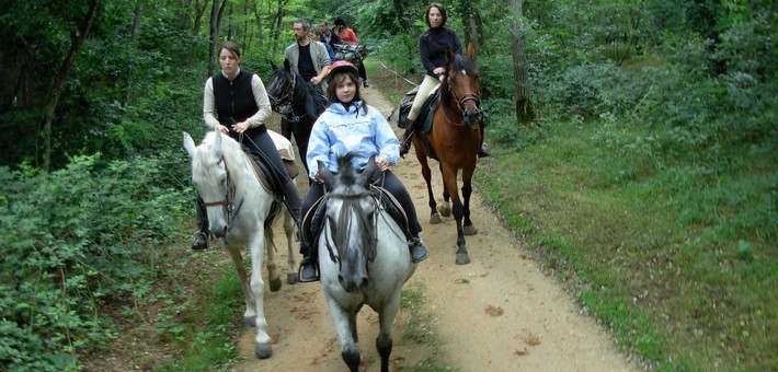 week-end équitation en forêt d