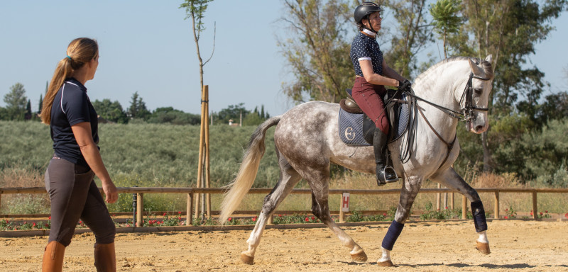 Dressage et équitation Haute Ecole à Séville - Caval&go