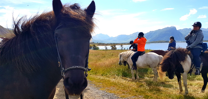 Escapade à cheval dans les îles Lofoten - Caval&go