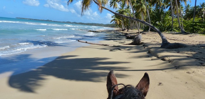 Rando cheval Caraïbes en Rep Dom