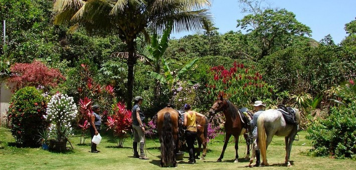 Séjour équestre de rêve avec Alizée Froment en République Dominicaine - Caval&go