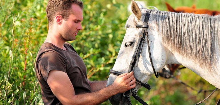 Raid équestre du Périgord à la Côte Atlantique, entre châteaux et vignobles - Caval&go