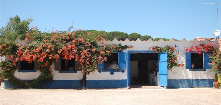 Randonnée équestre au Portugal, sur la route des Lusitaniens