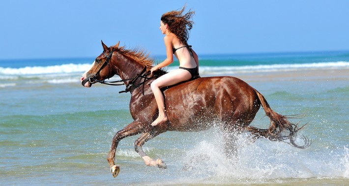 Randonnée équestre sur les plages de l